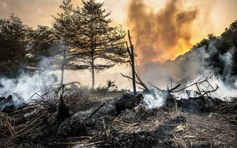 Оценка ущерба после стихийного бедствия в Краснодаре: отчет оценщика